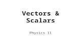 Vectors & Scalars Physics 11