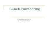 Bunch Numbering