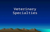 Veterinary Specialties