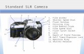 Standard SLR Camera