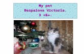 My pet Bespalova Victoria . 3  «Б».