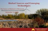 Biofuel Sources and Emerging Technologies