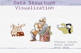 Data Structure Visualization