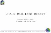 JRA-6  Mid-Term  Report