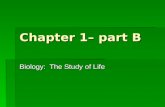 Chapter 1– part B