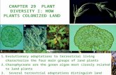 CHAPTER 29  PLANT DIVERSITY I: HOW PLANTS COLONIZED LAND