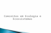 UNIVERSIDADE FEDERAL DO AMAZONAS INSTITUTO AGRICULTURA E AMBIENTE