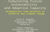 Simulating Future Vulnerability  and Adaptive Capacity