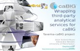 Wrapping third-party analytical services for caBIG