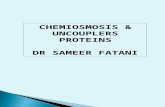 CHEMIOSMOSIS & UNCOUPLERS PROTEINS DR SAMEER FATANI