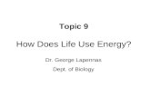 Topic 9 How Does Life Use Energy?