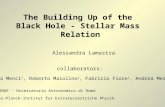 The Building Up of the  Black Hole - Stellar Mass  Relation