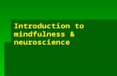 Introduction to mindfulness & neuroscience