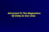 Attracted To The Magnetism  Of Unity In Our Lives