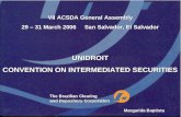 VII ACSDA General Assembly 29 – 31 March 2006     San Salvador, El Salvador UNIDROIT