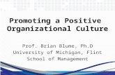 Promoting a Positive  Organizational Culture Prof. Brian Blume, Ph.D University of Michigan, Flint