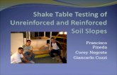 Shake Table Testing of Unreinforced and Reinforced Soil Slopes