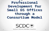 Support & Professional Development for Small DS Offices through a Consortium Model