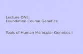 Lecture ONE:  Foundation Course Genetics Tools of Human Molecular Genetics I