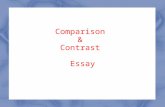 Comparison  &  Contrast  Essay
