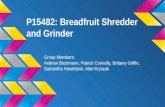 P15482: Breadfruit Shredder and Grinder
