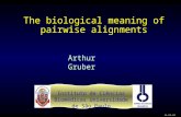 The biological meaning of pairwise alignments