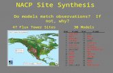 NACP Site Synthesis