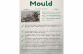 Mould  - cleanup manual