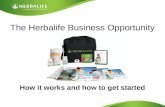 The Herbalife Business Opportunity