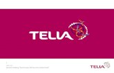 Kenneth Karlberg President, Telia Mobile  Senior Executive Vice President, Telia AB