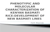 PHENOTYPIC AND MOLECULAR CHARACTERIZATION OF KENYAN BASMATI RICE:DEVELOPMENT OF NEW BASMATI LINES