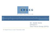ERGEG Guidelines of Good Practice for Gas Balancing (GGP-GB): 2008 ERGEG Monitoring Report