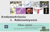 Endometriosis  ＆  Adenomyosis