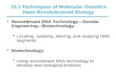19.1 Techniques of Molecular Genetics Have Revolutionized Biology