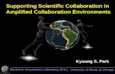 Supporting Scientific Collaboration in  Amplified Collaboration Environments