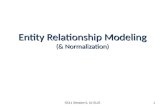 Entity Relationship Modeling (& Normalization)
