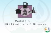 Module 5:   Utilization of Biomass