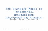 The Standard Model of Fundamental Interactions Achievements and Prospects