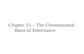 Chapter 15 – The Chromosomal Basis of Inheritance