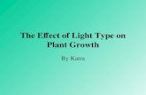 The Effect of Light Type on Plant Growth