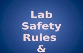 Lab Safety Rules  & Procedures