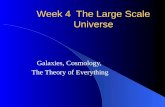 Week 4  The Large Scale Universe