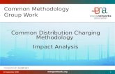 Common Methodology Group Work