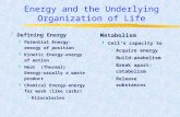 Energy and the Underlying Organization of Life