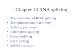 Chapter 13 RNA splicing
