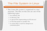 The File System in Linux