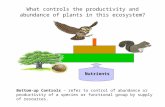What controls the productivity and abundance of plants in this ecosystem?