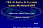 P E C  do  Serviço  de  Neurologia Hospital  São  Lucas - PUCRS