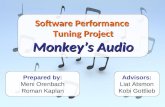 Software Performance  Tuning Project Monkey’s Audio