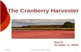 The Cranberry Harvester